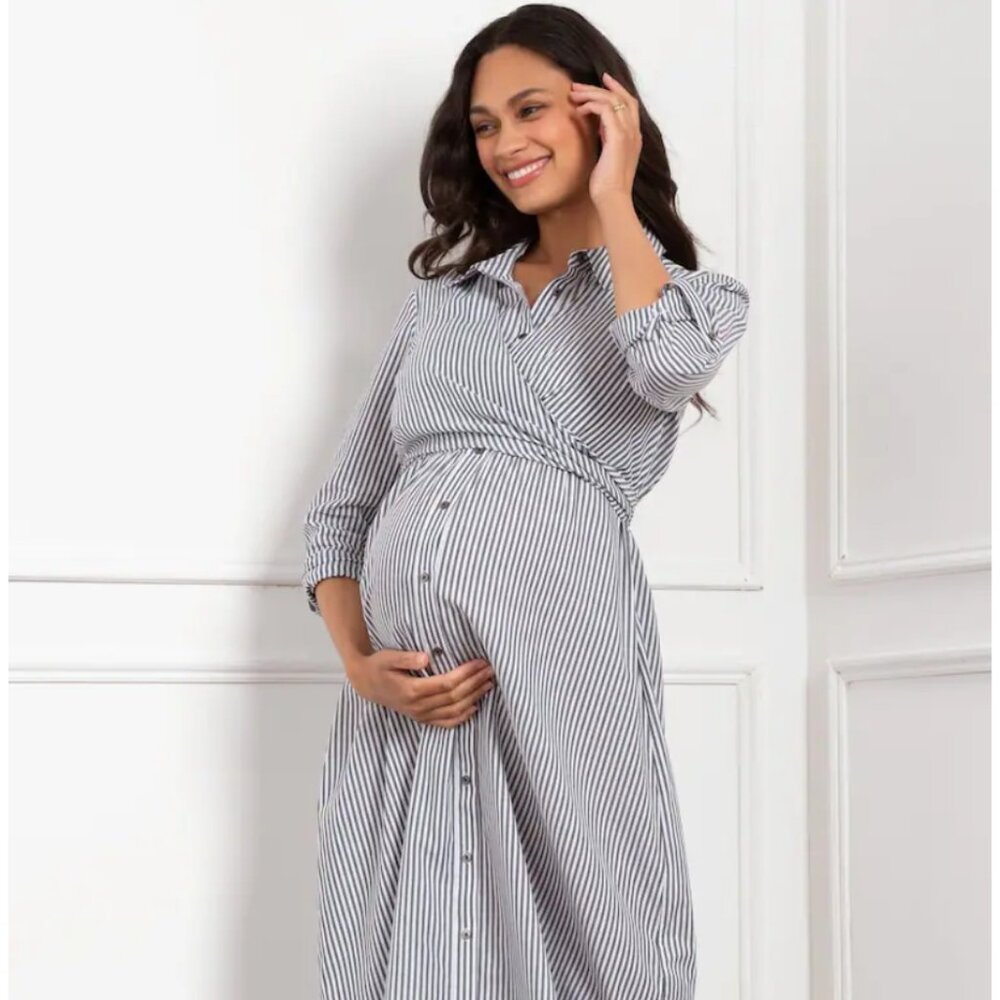 Seraphine Arianna Blue Stripe Maternity and Nursing Dress
